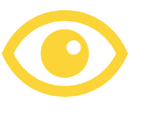 Sistemi di Visione