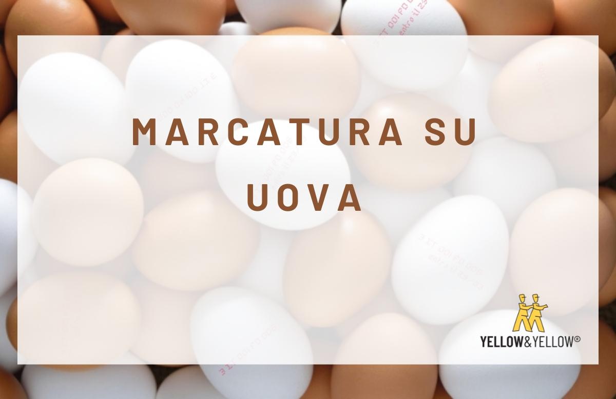 marcatura-uova-i.png