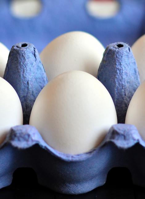 egg.jpg